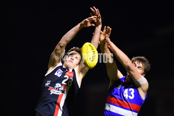 VFL 2021 Round 06 - Frankston v Footscray - 849222