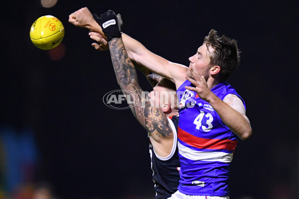 VFL 2021 Round 06 - Frankston v Footscray - 849240