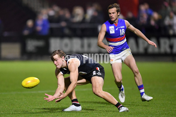 VFL 2021 Round 06 - Frankston v Footscray - 849339