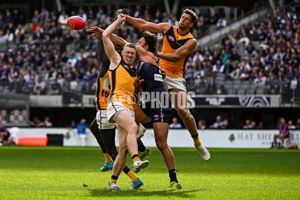 AFL 2022 Round 13 - Fremantle v Hawthorn - 959879