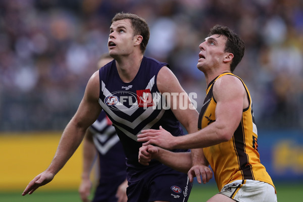 AFL 2022 Round 13 - Fremantle v Hawthorn - 960085