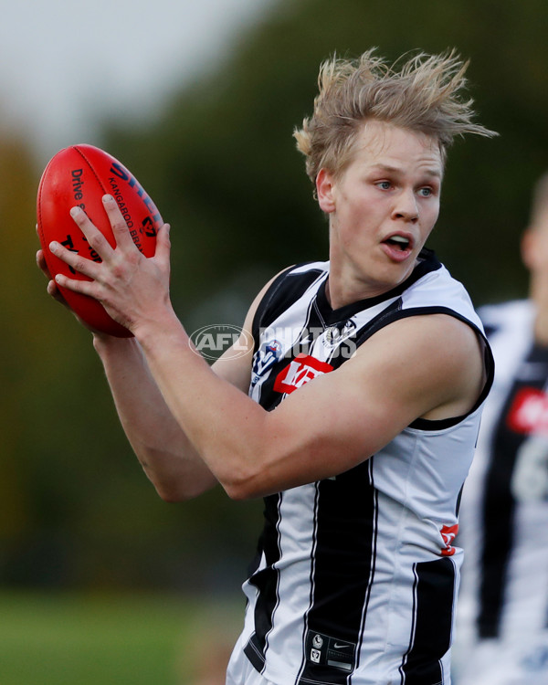 VFL 2022 Round 12 - Casey v Collingwood - 960459