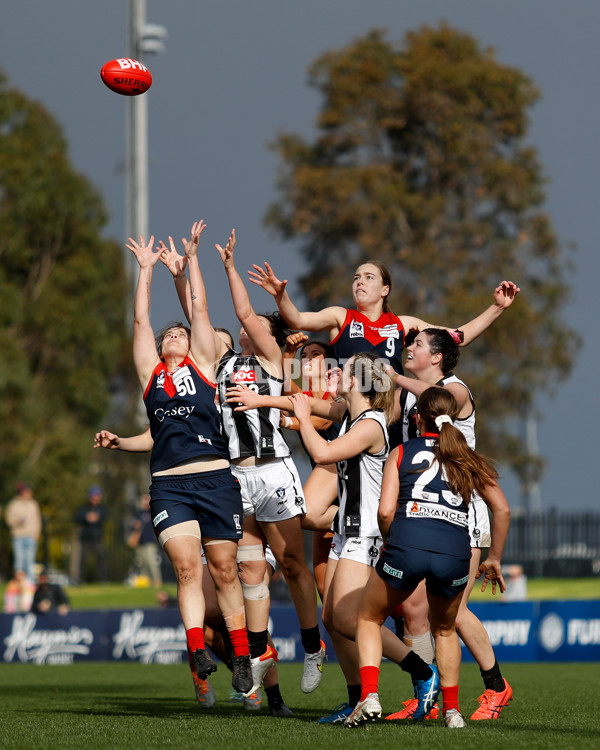 VFLW 2022 Elimination Final - Casey v Collingwood - 960441