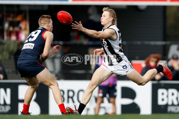 VFL 2022 Round 12 - Casey v Collingwood - 960446