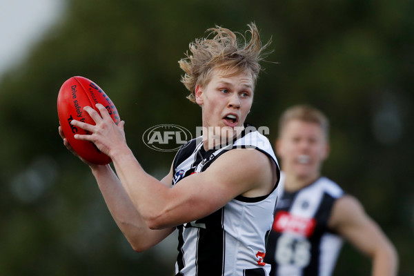 VFL 2022 Round 12 - Casey v Collingwood - 960458