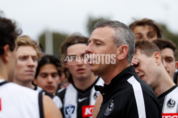 VFL 2022 Round 12 - Casey v Collingwood - 960495