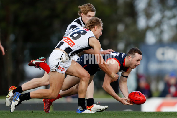 VFL 2022 Round 12 - Casey v Collingwood - 960455