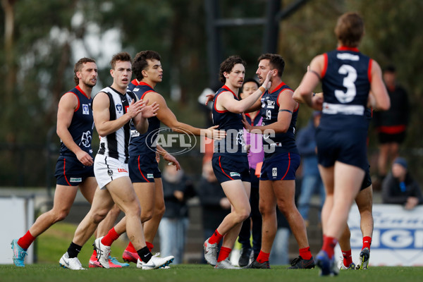 VFL 2022 Round 12 - Casey v Collingwood - 960457