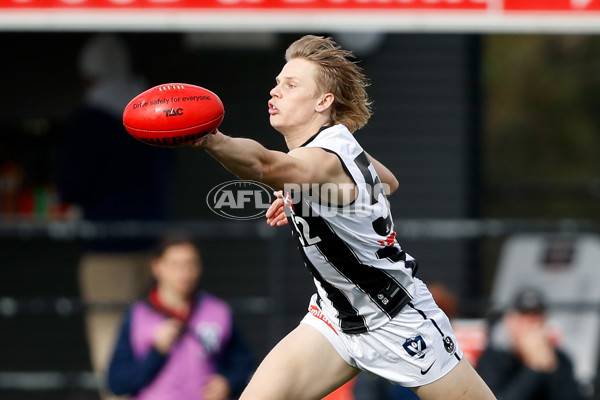 VFL 2022 Round 12 - Casey v Collingwood - 960444