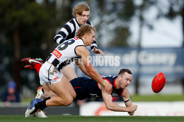 VFL 2022 Round 12 - Casey v Collingwood - 960456