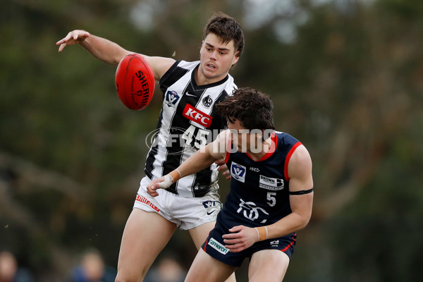 VFL 2022 Round 12 - Casey v Collingwood - 960499