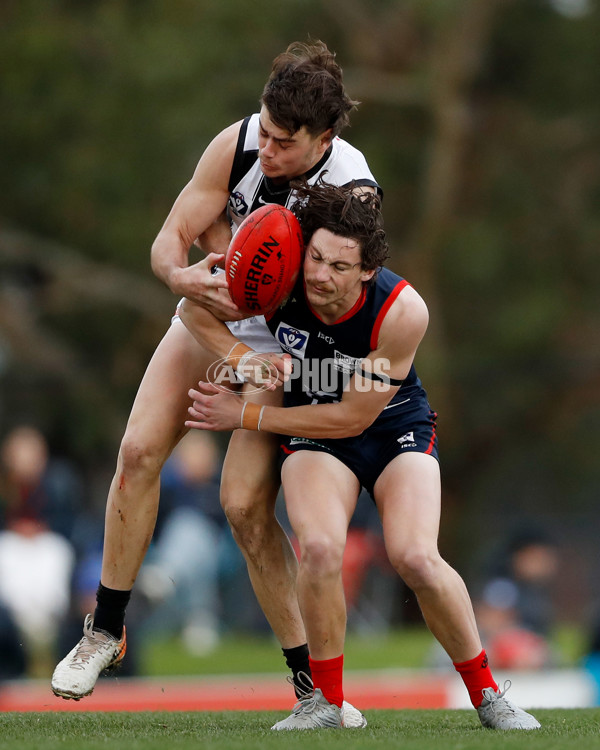 VFL 2022 Round 12 - Casey v Collingwood - 960497