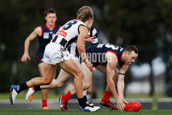 VFL 2022 Round 12 - Casey v Collingwood - 960664