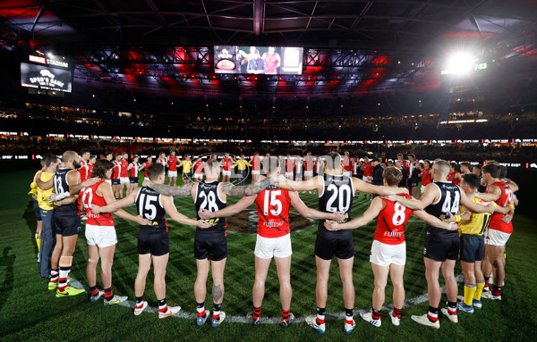 AFL 2022 Round 14 - St Kilda v Essendon - 962211