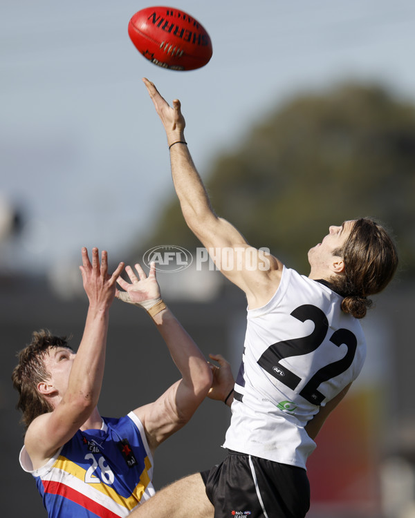 NAB League Boys 2022 - Northern Knights v Eastern Ranges - 962520