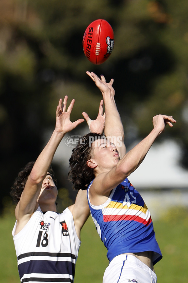 NAB League Boys 2022 - Northern Knights v Eastern Ranges - 962492