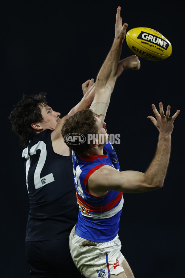 VFL 2022 Round 13 - Carlton v Footscray - 962585