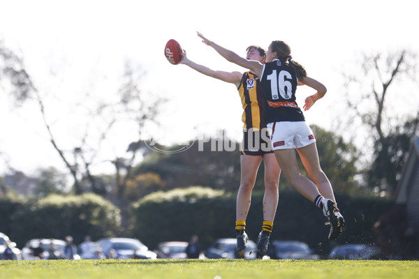 VFLW 2022 Semi Final - Hawthorn v Southern Saints - 963821