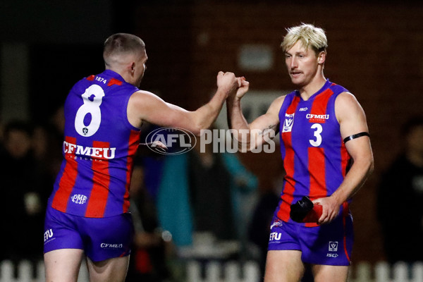 VFL 2022 Round 14 - Port Melbourne v Werribee - 965121