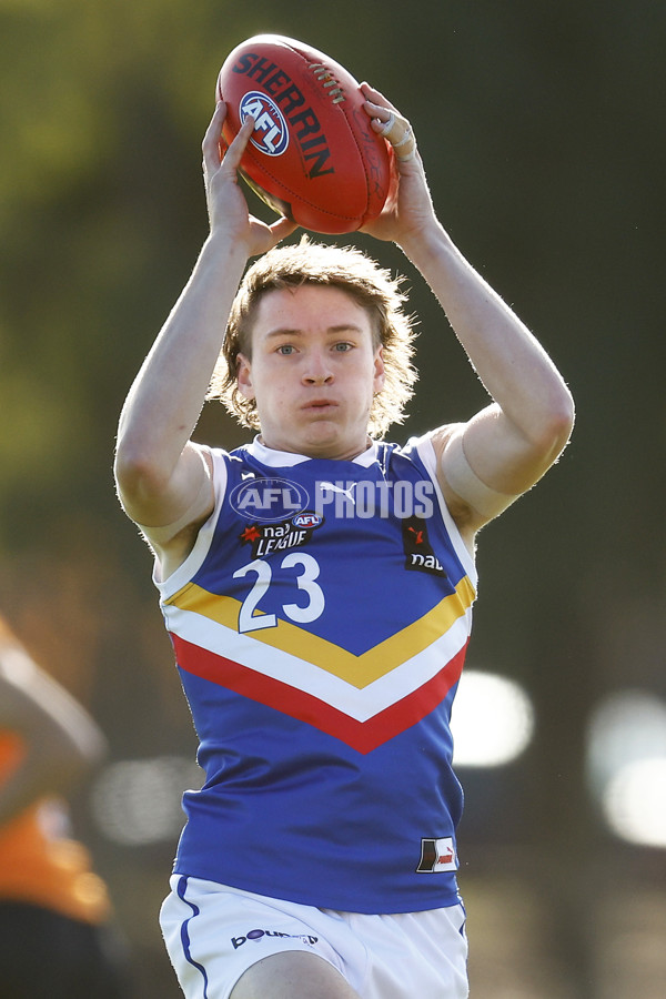 NAB League Boys 2022 - Calder Cannons v Eastern Ranges - 965807