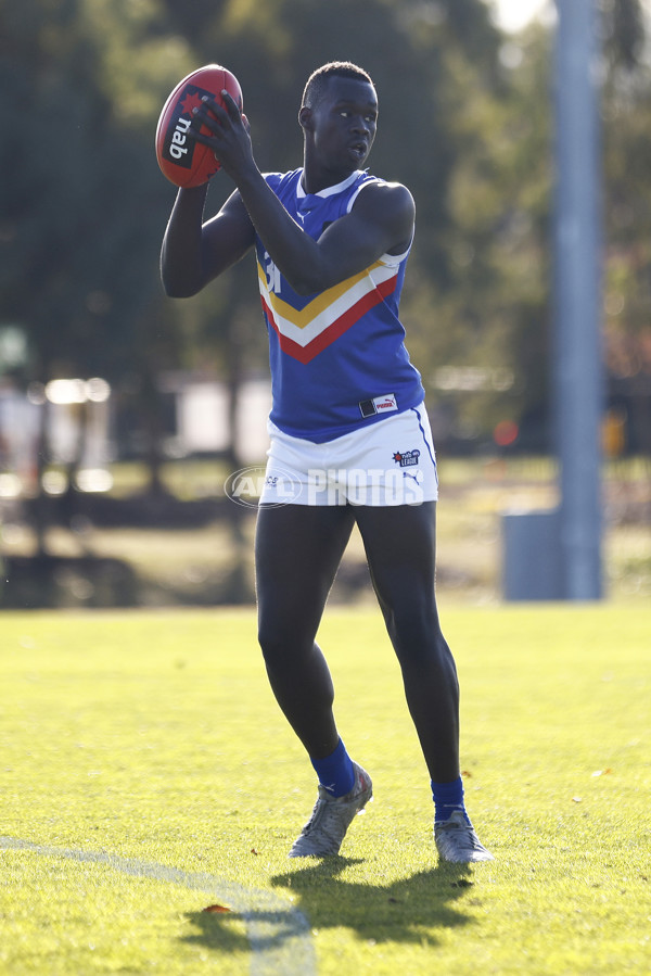 NAB League Boys 2022 - Calder Cannons v Eastern Ranges - 965880