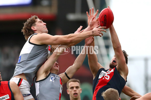 VFL 2022 Round 11 - Coburg v Frankston - 957819