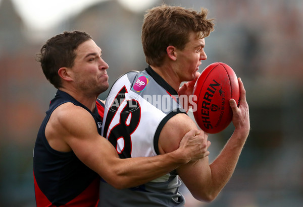 VFL 2022 Round 11 - Coburg v Frankston - 957869