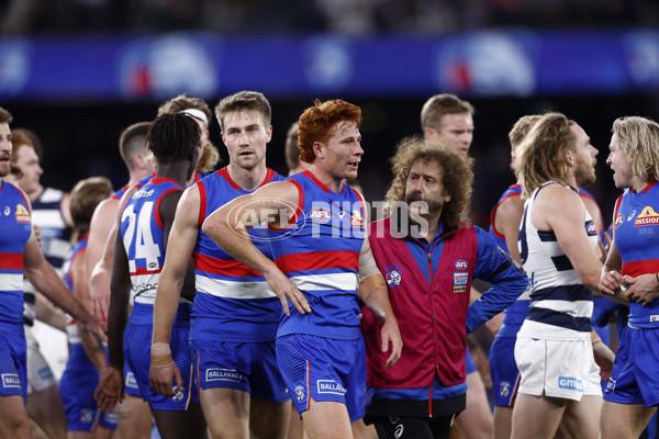 AFL 2022 Round 12 - Western Bulldogs v Geelong - 956487