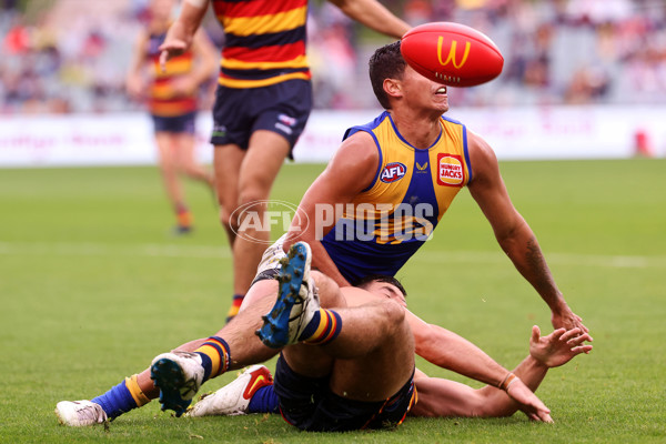 AFL 2022 Round 12 - Adelaide v West Coast - 956660