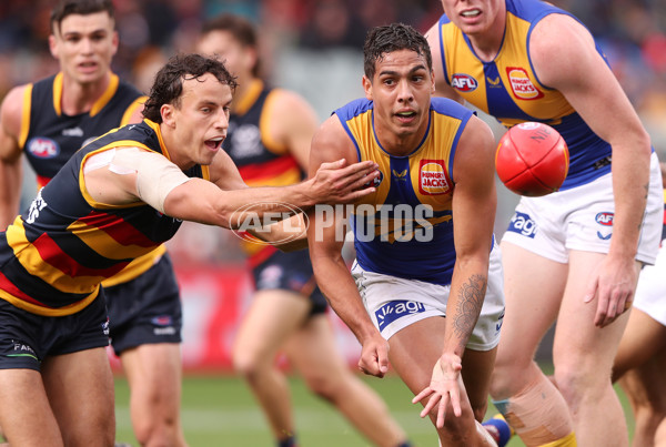 AFL 2022 Round 12 - Adelaide v West Coast - 956667