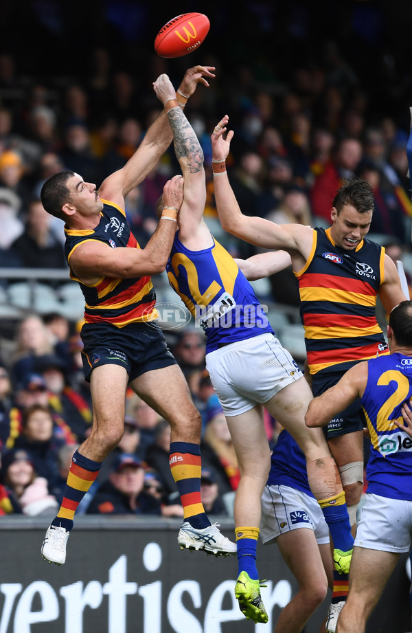 AFL 2022 Round 12 - Adelaide v West Coast - 956704