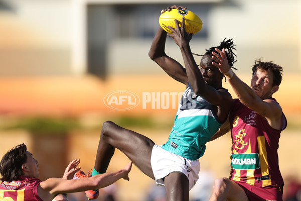 WAFL 2022 Round 07 - Subiaco v Peel - 957046