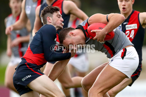 VFL 2022 Round 11 - Coburg v Frankston - 957479