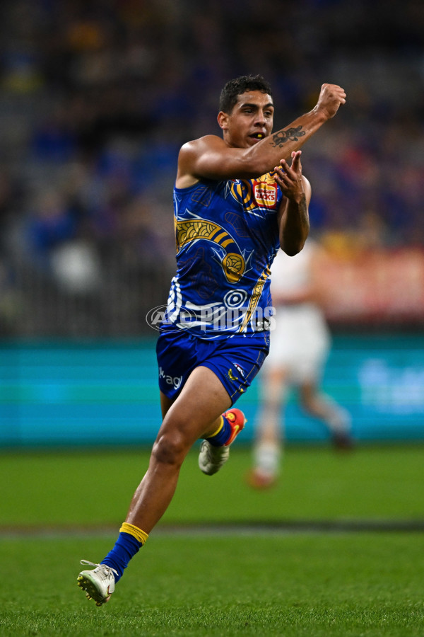 AFL 2022 Round 11 - West Coast v Western Bulldogs - 954670