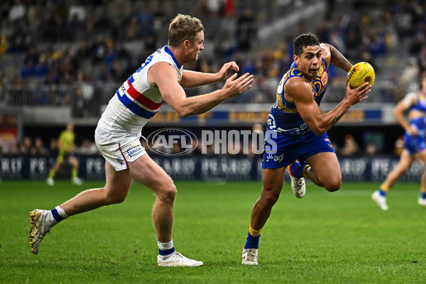 AFL 2022 Round 11 - West Coast v Western Bulldogs - 954955