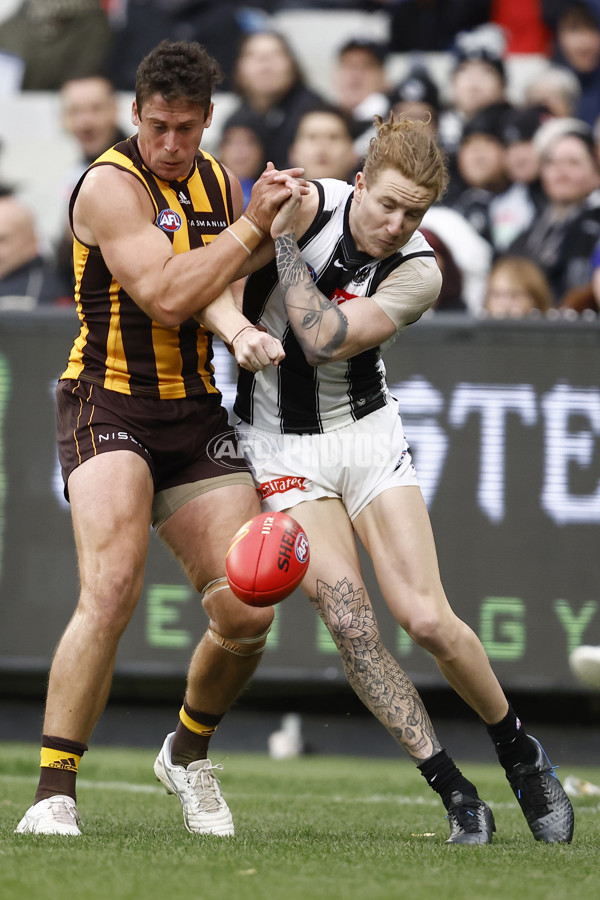 AFL 2022 Round 12 - Hawthorn v Collingwood - 957581