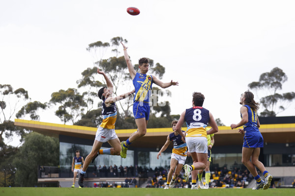 NAB League Boys 2022 - Western Jets v Bendigo Pioneers - 957703