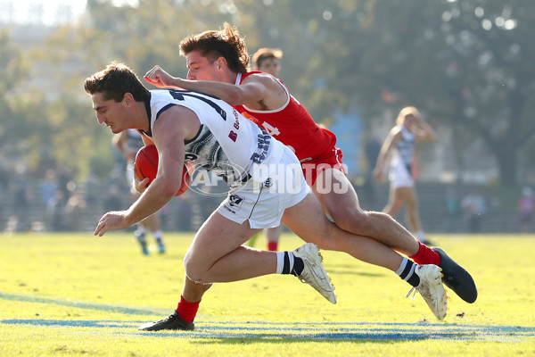 VFL 2022 Round 09 - Northern Bullants v Geelong - 951959