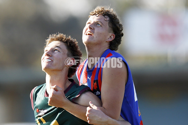 NAB League Boys 2022 - Oakleigh v Tasmania - 951972