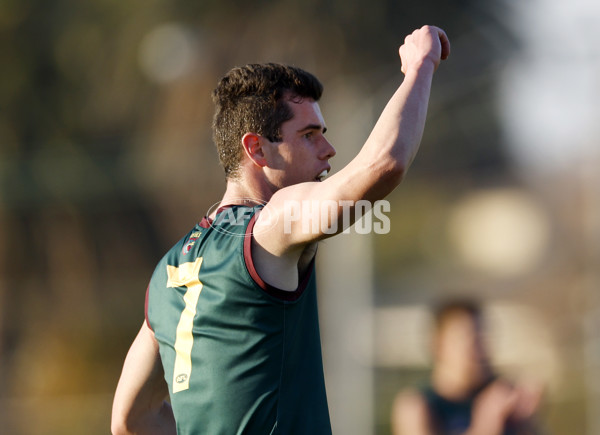 NAB League Boys 2022 - Oakleigh v Tasmania - 952100