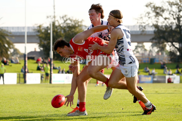 VFL 2022 Round 09 - Northern Bullants v Geelong - 951985