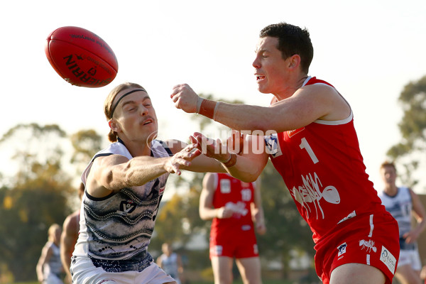 VFL 2022 Round 09 - Northern Bullants v Geelong - 952142