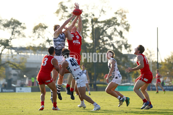 VFL 2022 Round 09 - Northern Bullants v Geelong - 952327