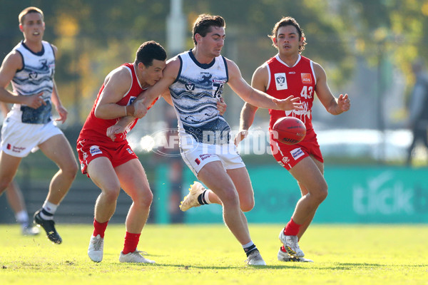 VFL 2022 Round 09 - Northern Bullants v Geelong - 952355