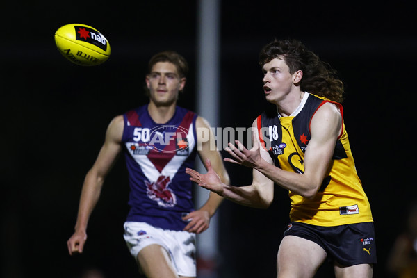 NAB League Boys 2022 - Dandenong v Sandringham - 953254