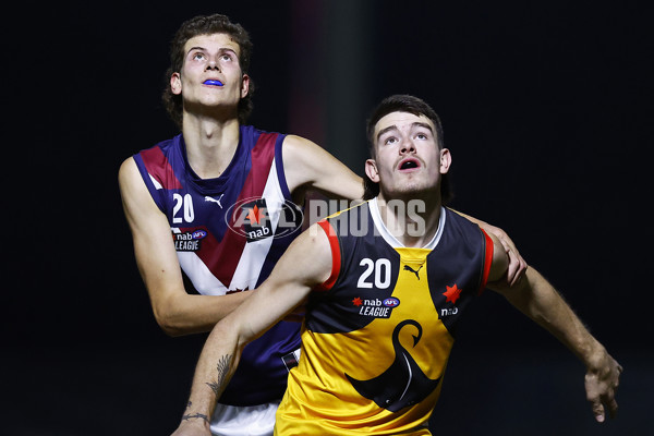 NAB League Boys 2022 - Dandenong v Sandringham - 953262