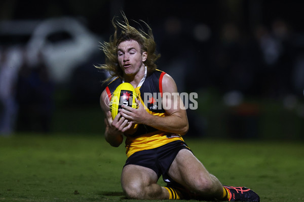 NAB League Boys 2022 - Dandenong v Sandringham - 953318