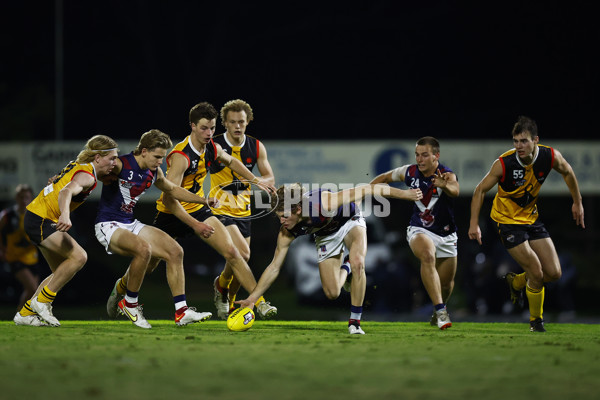 NAB League Boys 2022 - Dandenong v Sandringham - 953278