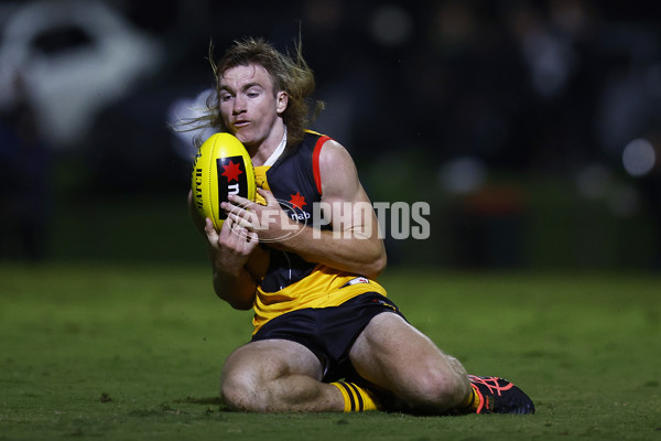 NAB League Boys 2022 - Dandenong v Sandringham - 953319