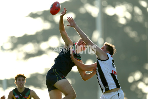 AFL 2022 Media - AFL Academy v Collingwood VFL - 950650